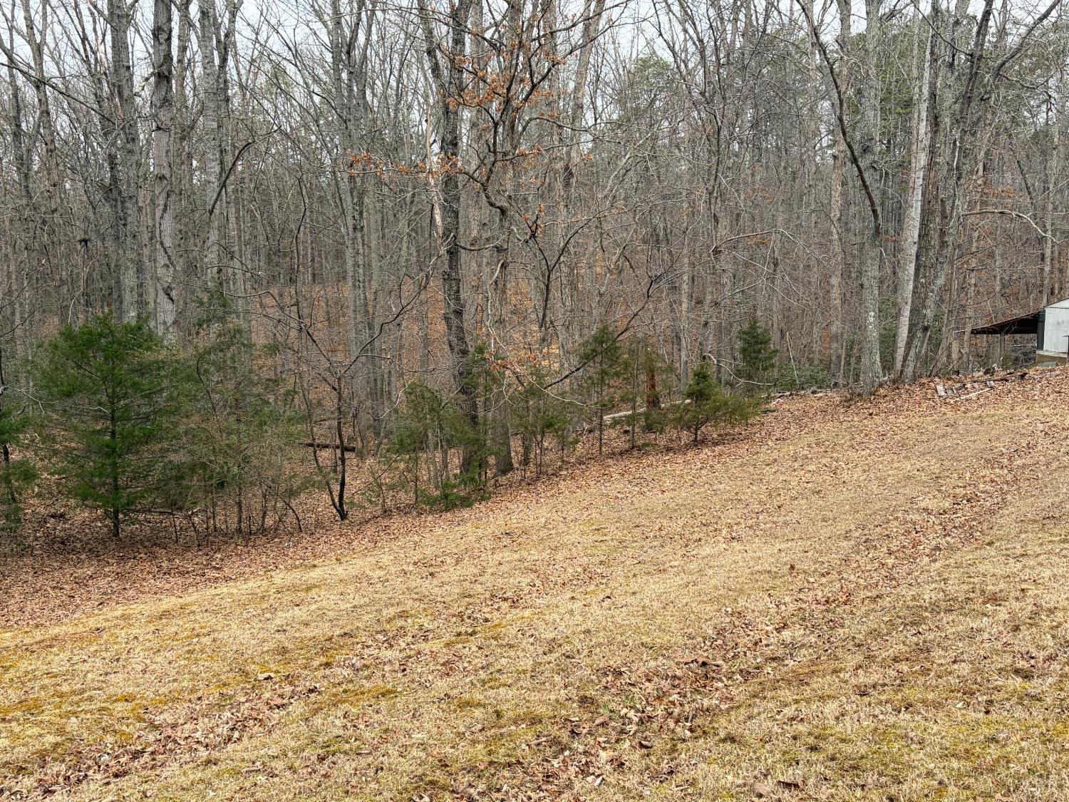 819 1 Mile Road Evington, VA 24550 - Photo 6 of 8 a view of snow on a road