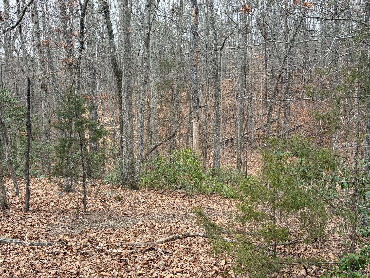 819 1 Mile Road Evington, VA 24550 - Photo 7 of 8