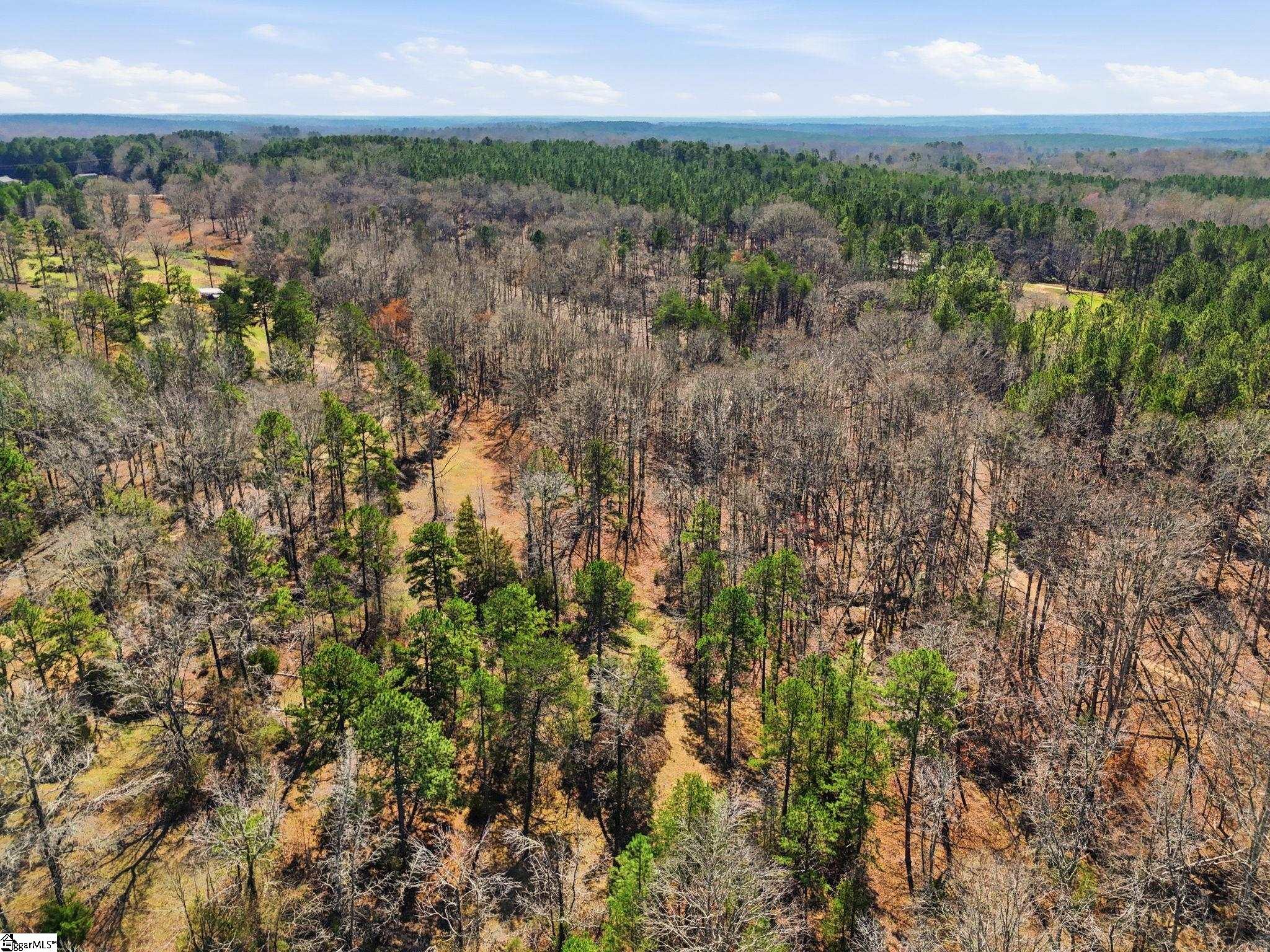 3206 Highway 252 Laurens, SC 29360 - Photo 12 of 47