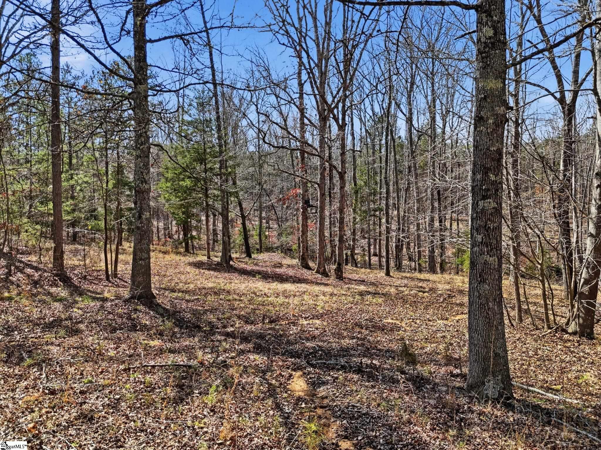 3206 Highway 252 Laurens, SC 29360 - Photo 15 of 47