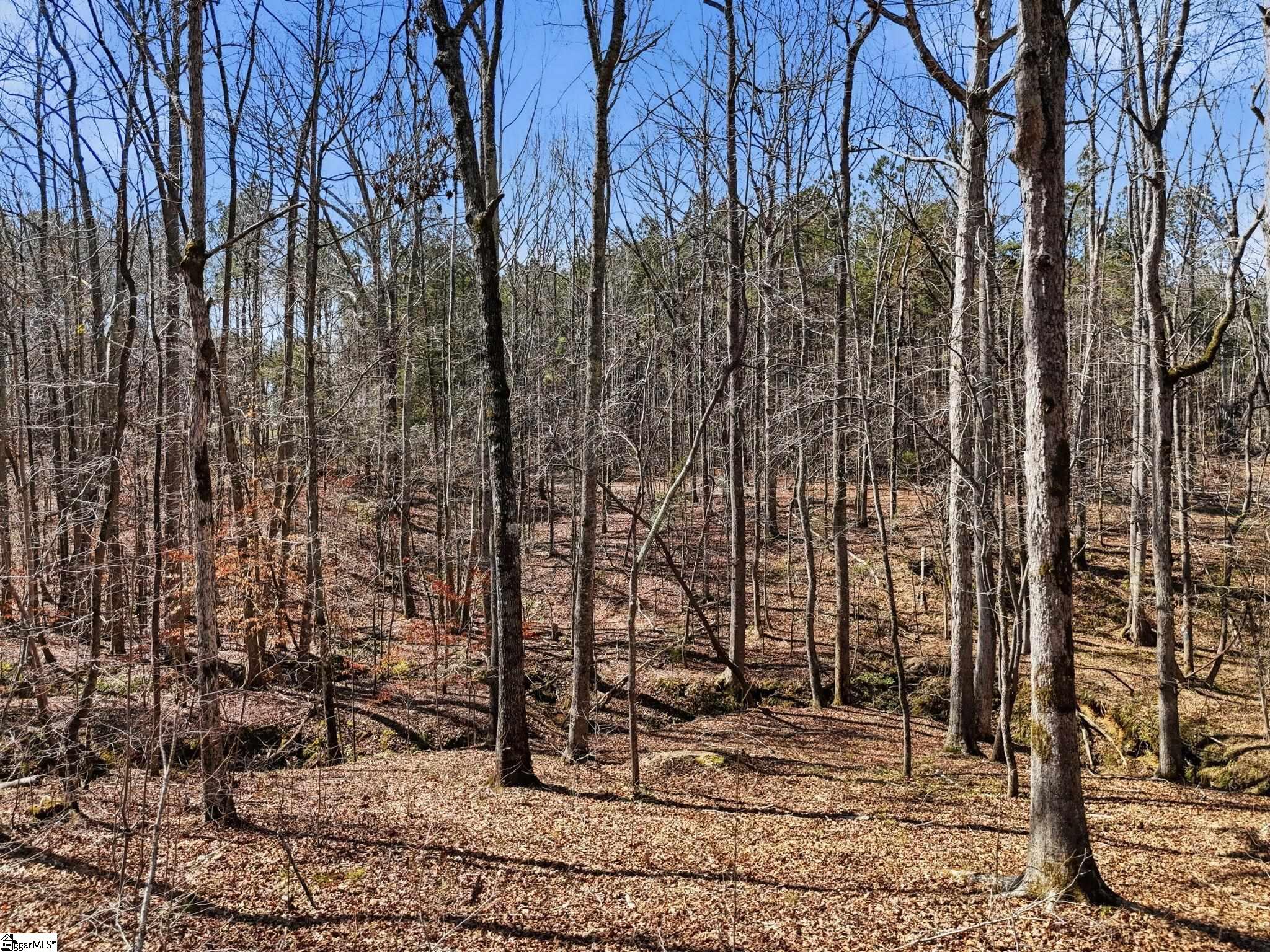 3206 Highway 252 Laurens, SC 29360 - Photo 16 of 47