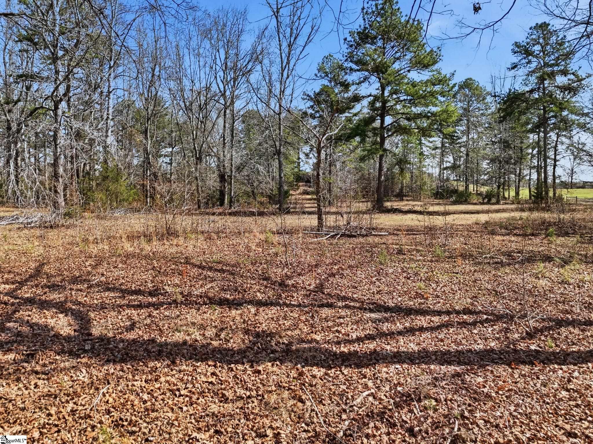 3206 Highway 252 Laurens, SC 29360 - Photo 17 of 47