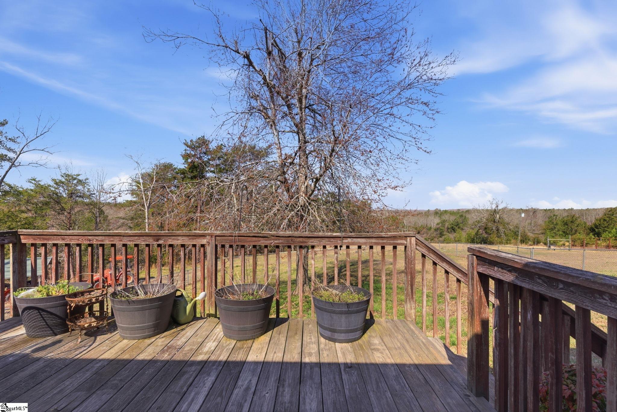 3206 Highway 252 Laurens, SC 29360 - Photo 3 of 47