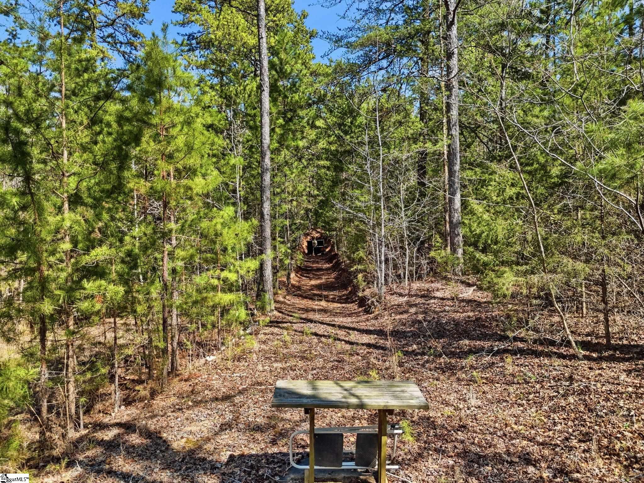 3206 Highway 252 Laurens, SC 29360 - Photo 9 of 47