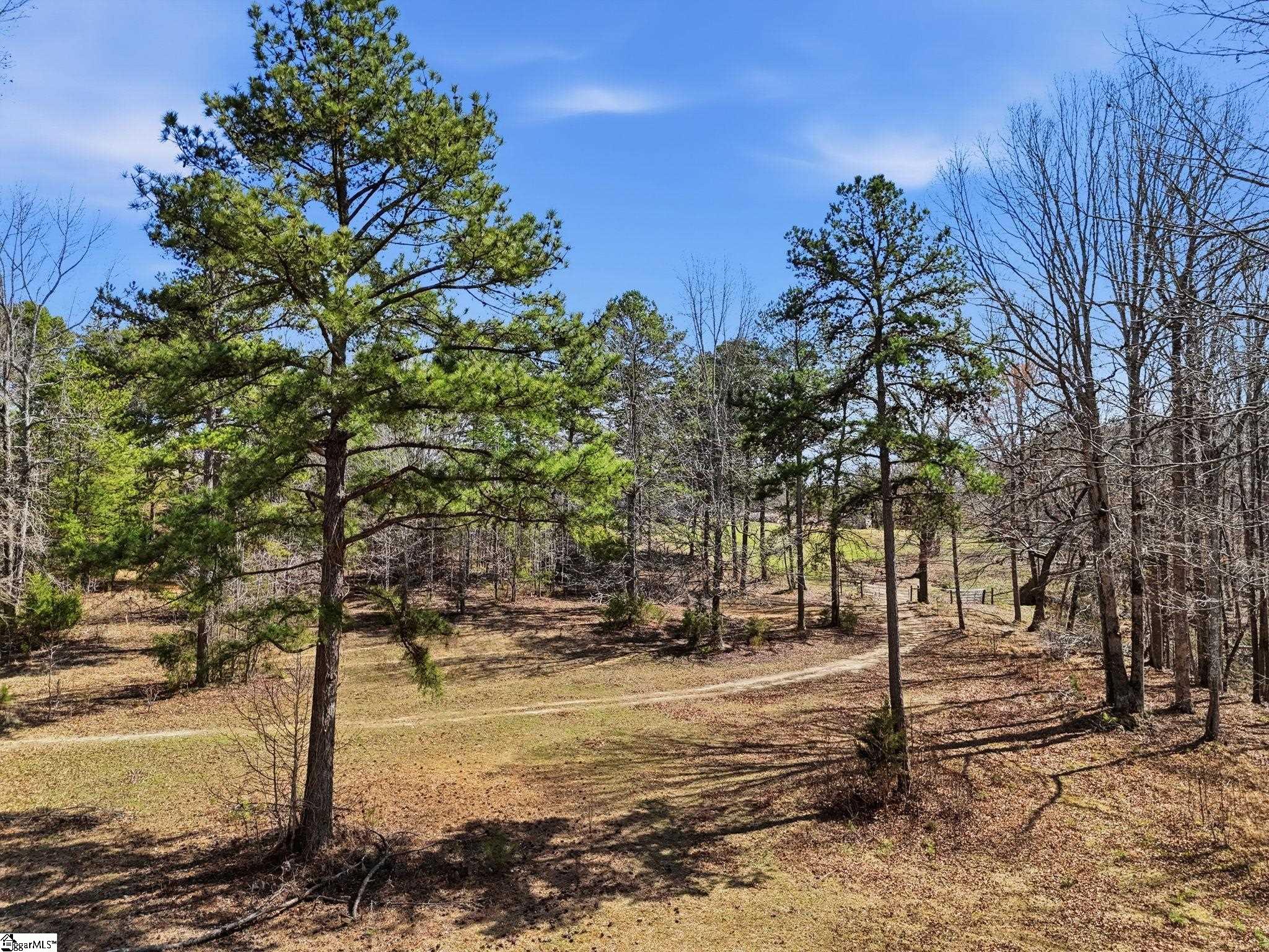 3206 Highway 252 Laurens, SC 29360 - Photo 10 of 47