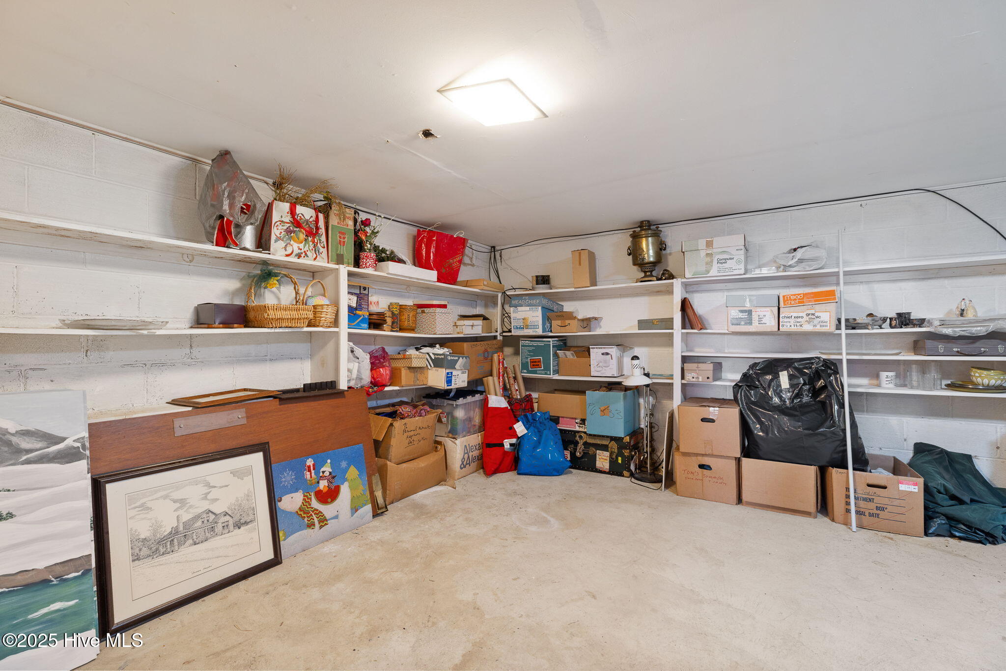 1984 Kings Landing Road Hampstead, NC 28443 - Photo 60 of 71 basement storage
