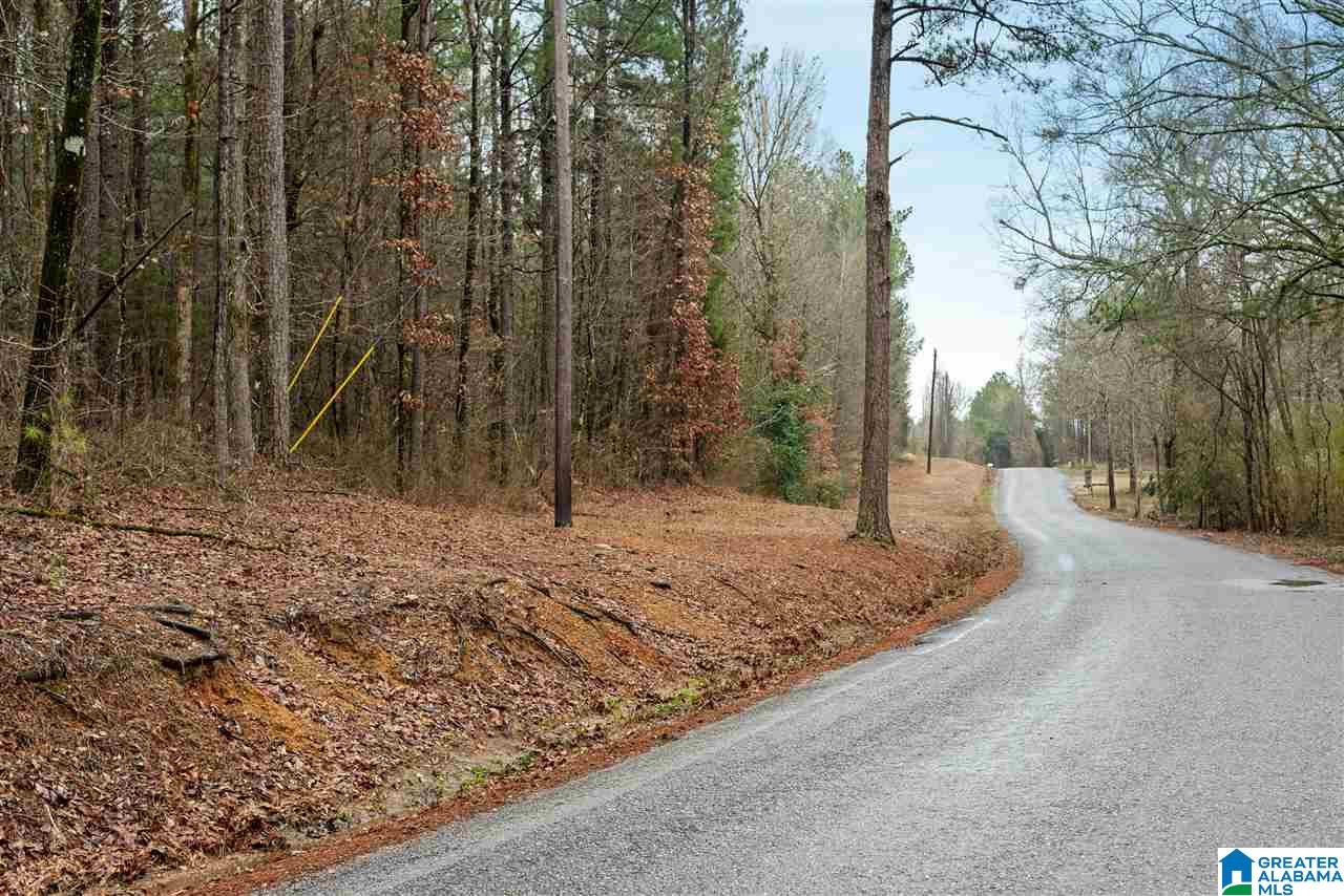 0 Clay Pit Road, Unit 7 AACRES ON CLAY PIT ROAD Montevallo, AL 35115 - Photo 7 of 7