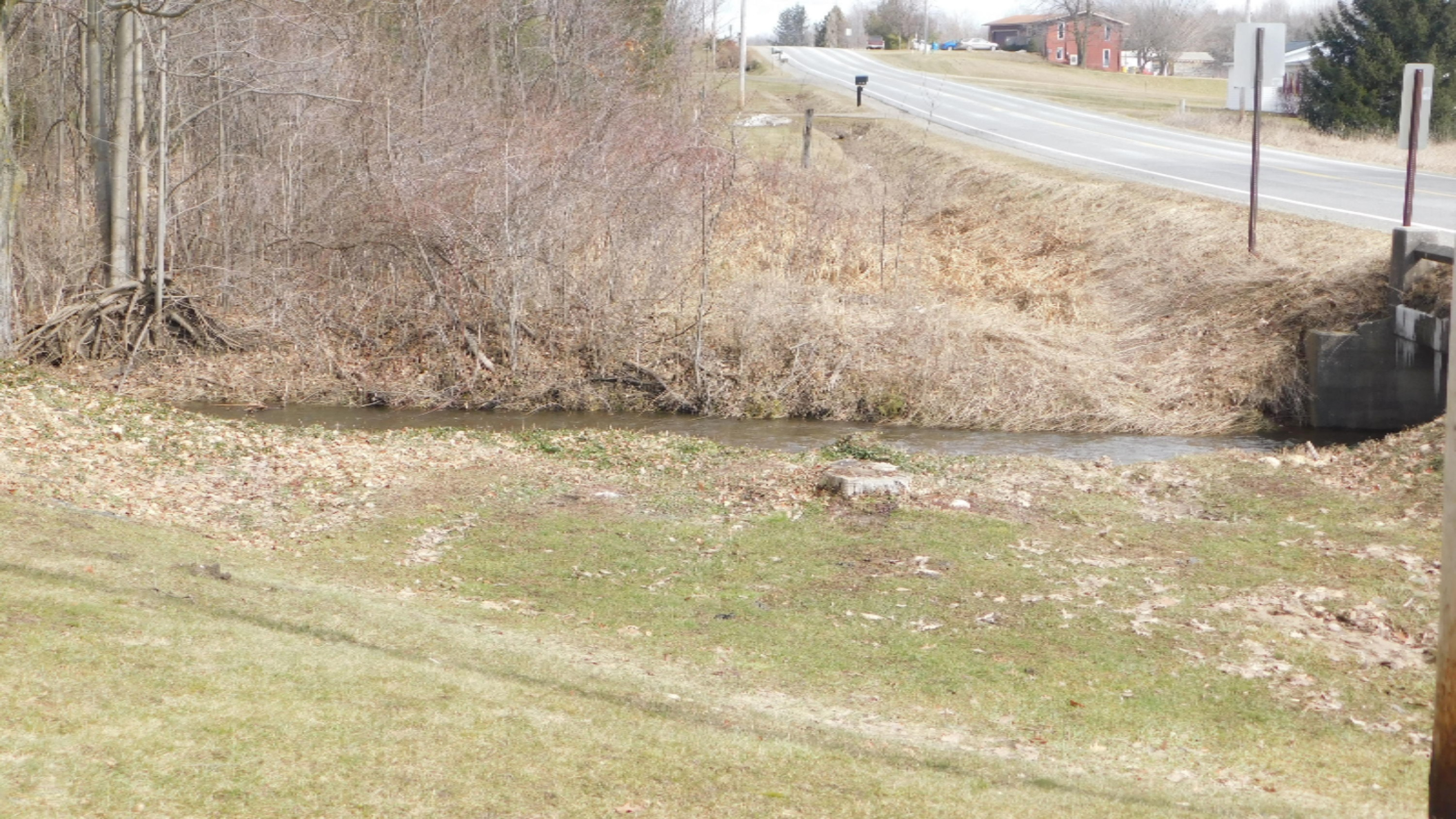 16530 Bailey Road Bailey, MI 49303 - Photo 27 of 29 DSCN0418