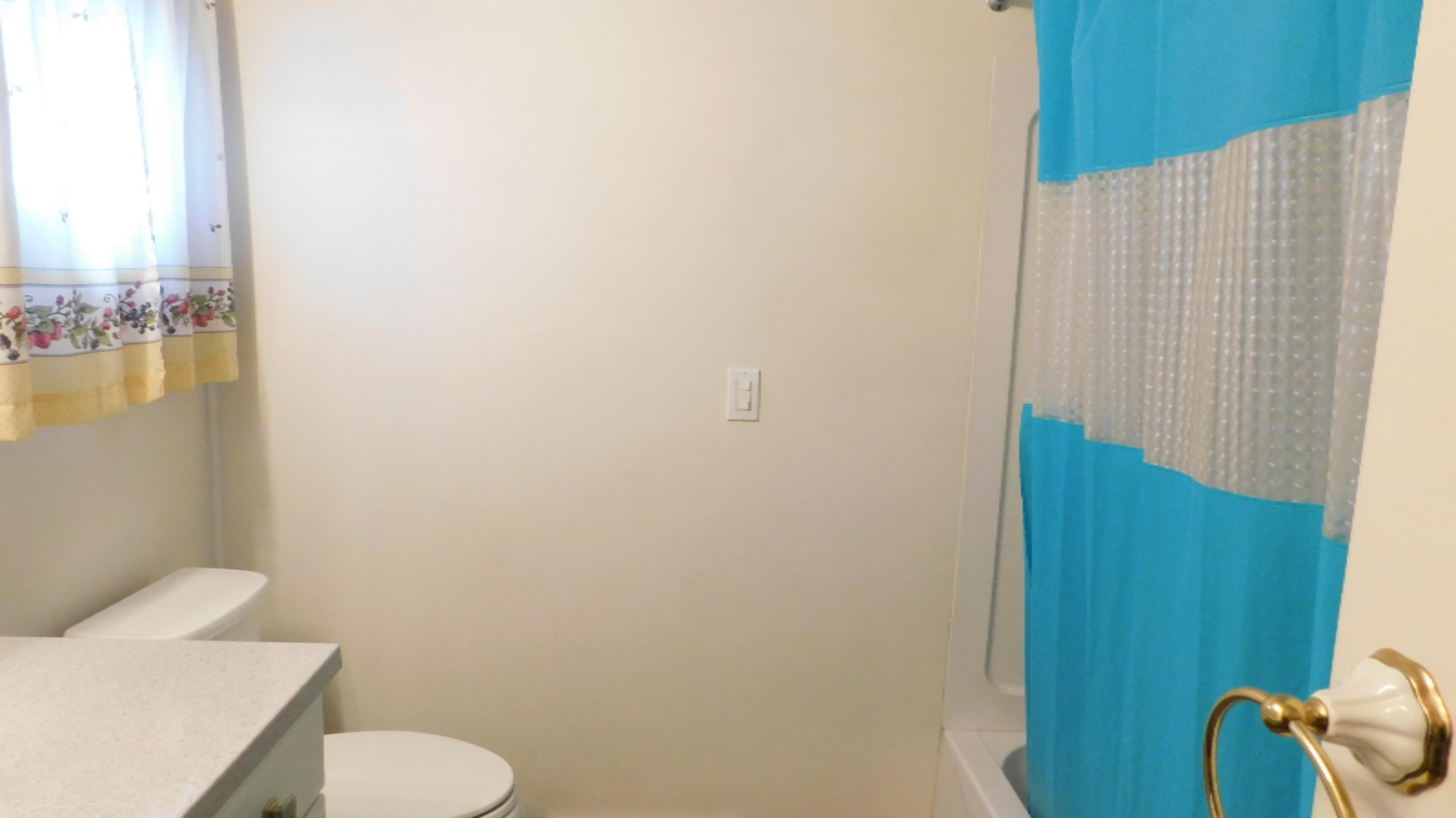 16530 Bailey Road Bailey, MI 49303 - Photo 5 of 29 DSCN0394