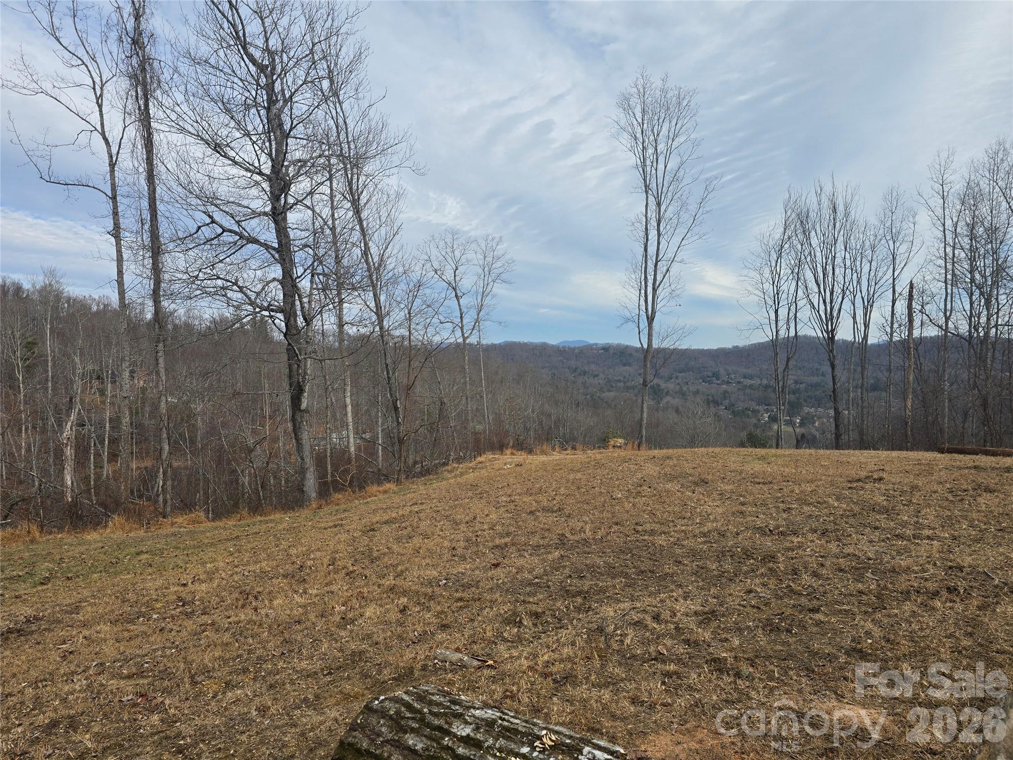 1480 Davis Mountain Road Hendersonville, NC 28739 - Photo 32 of 37