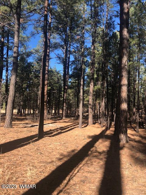0 County Road Alpine, AZ 85920 - Photo 12 of 13