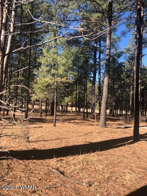 0 County Road Alpine, AZ 85920 - Photo 13 of 13