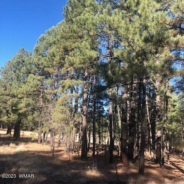 0 County Road Alpine, AZ 85920 - Photo 2 of 13