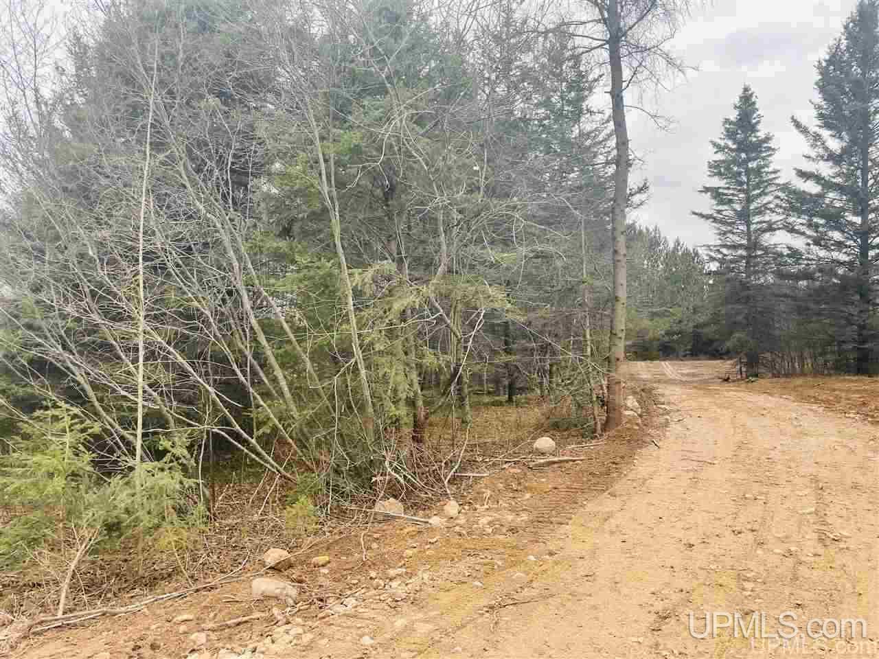 Tbd St Nicholas Road Rock, MI 49880 - Photo 4 of 22