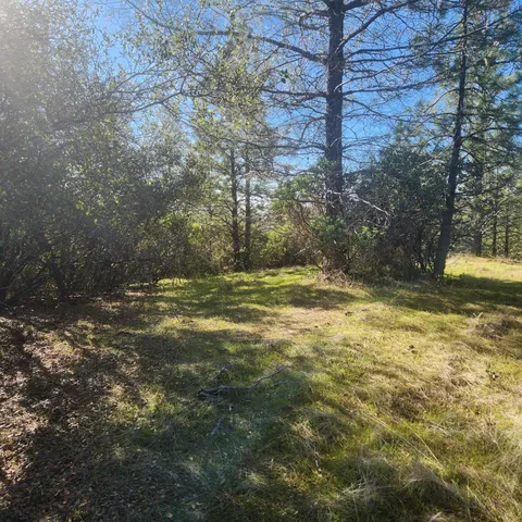 a view of outdoor space with trees