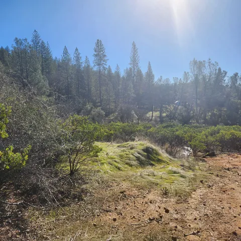 a view of yard covered with snow