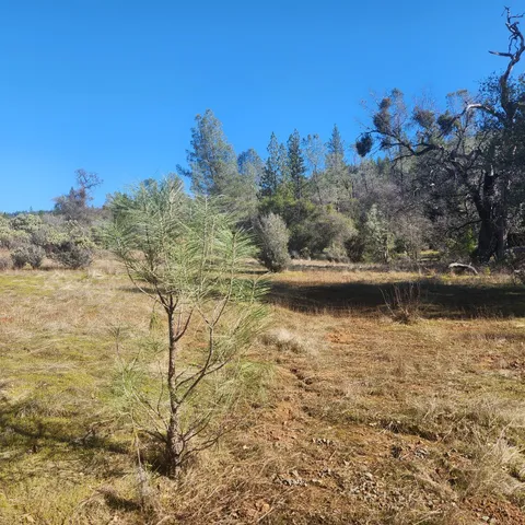 a view of a wooden floor
