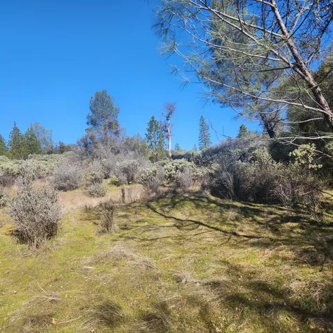 a view of a lush green field