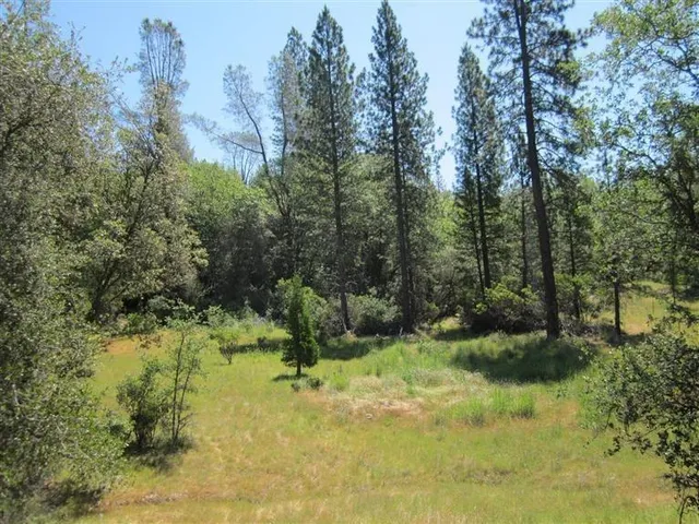 a view of backyard with green space