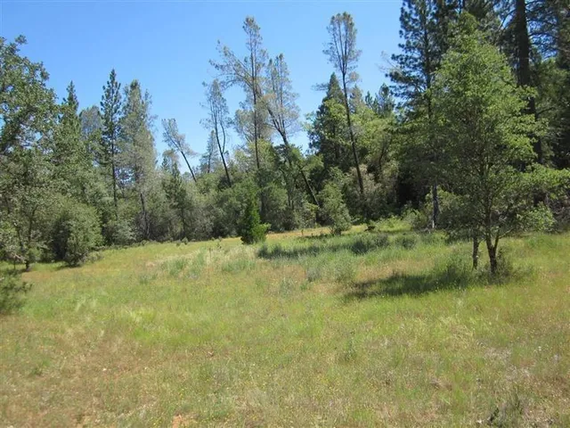 a view of a yard with a tree