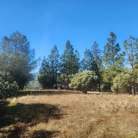 a view of outdoor space and yard
