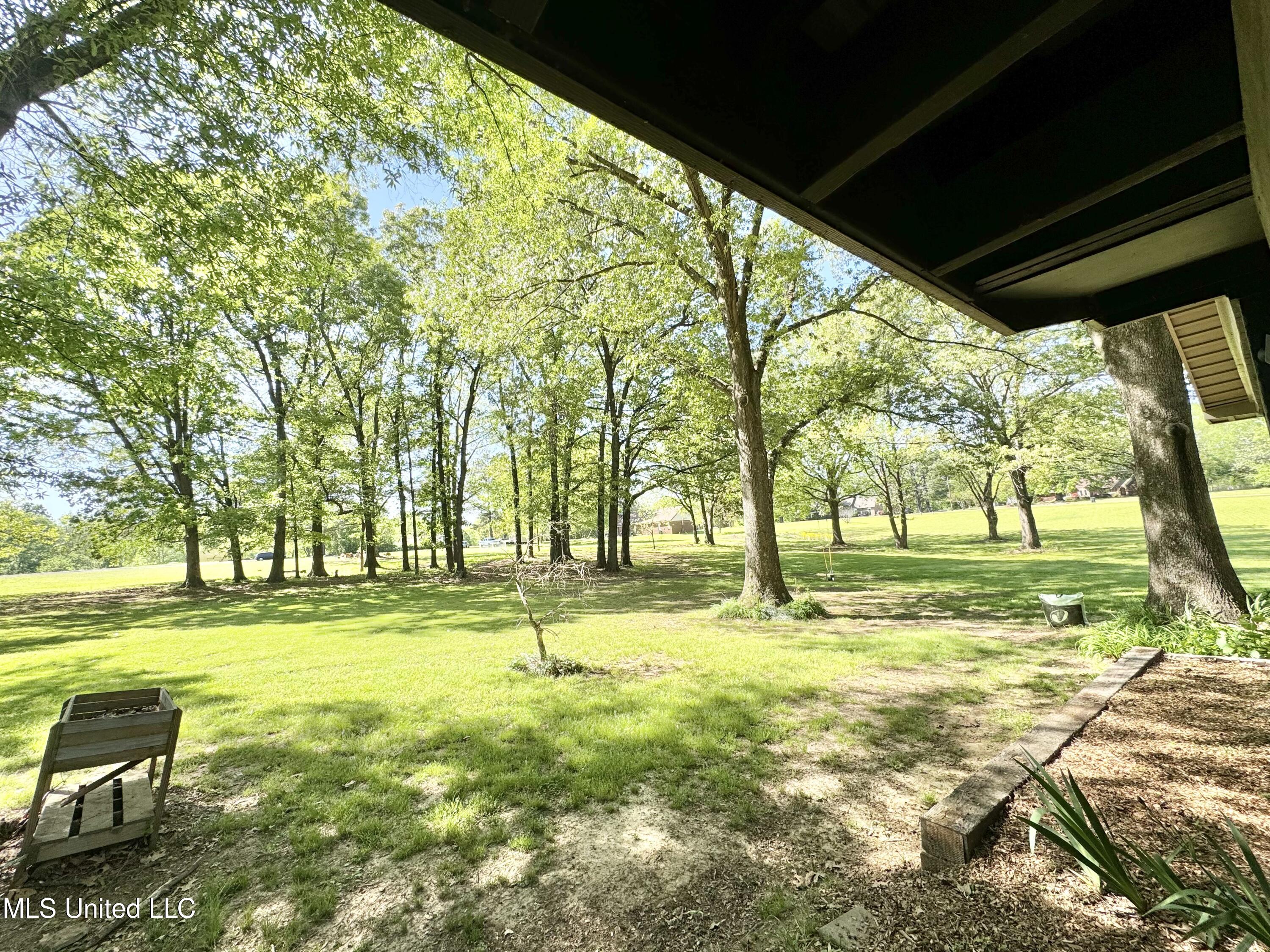 3775 Liscott Road Southaven, MS 38672 - Photo 48 of 60 IMG_4827