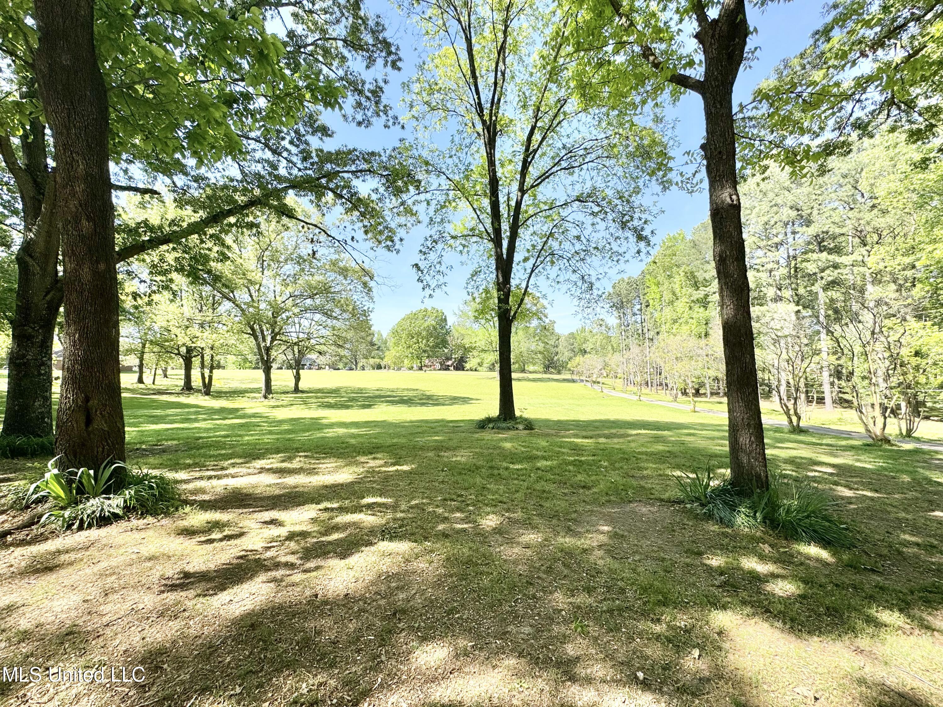 3775 Liscott Road Southaven, MS 38672 - Photo 49 of 60 IMG_4831