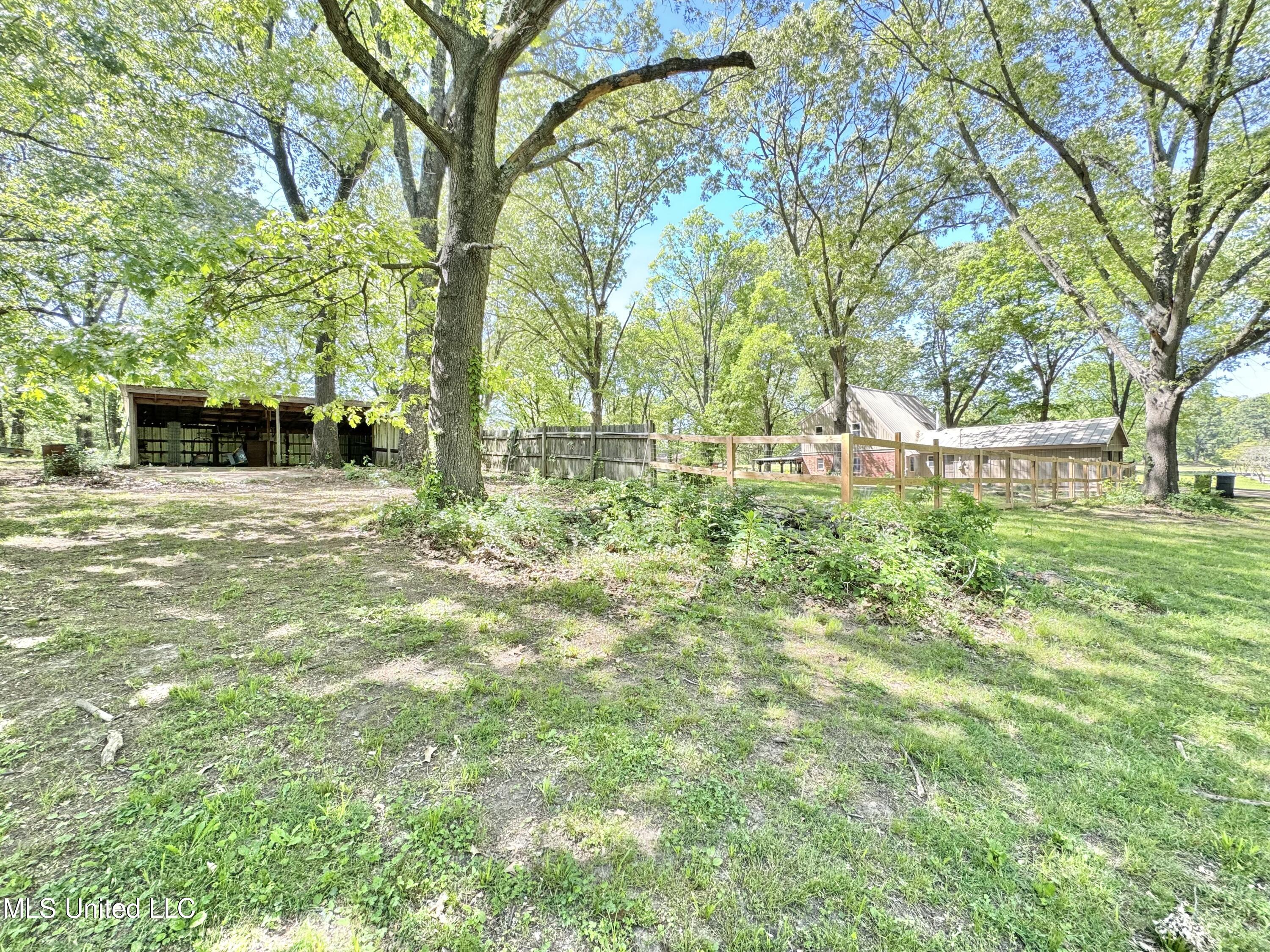 3775 Liscott Road Southaven, MS 38672 - Photo 50 of 60 IMG_4754