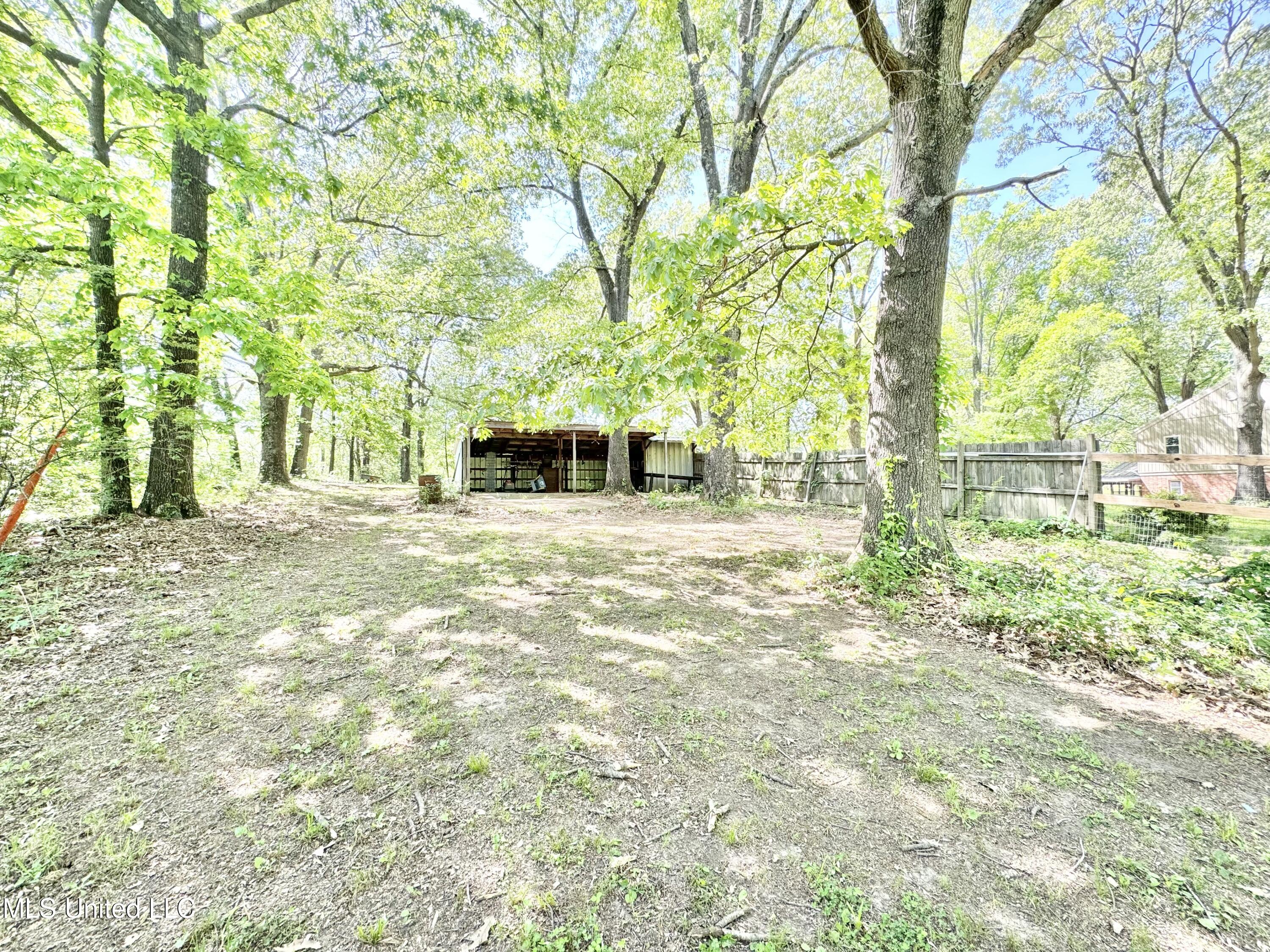 3775 Liscott Road Southaven, MS 38672 - Photo 51 of 60 IMG_4755