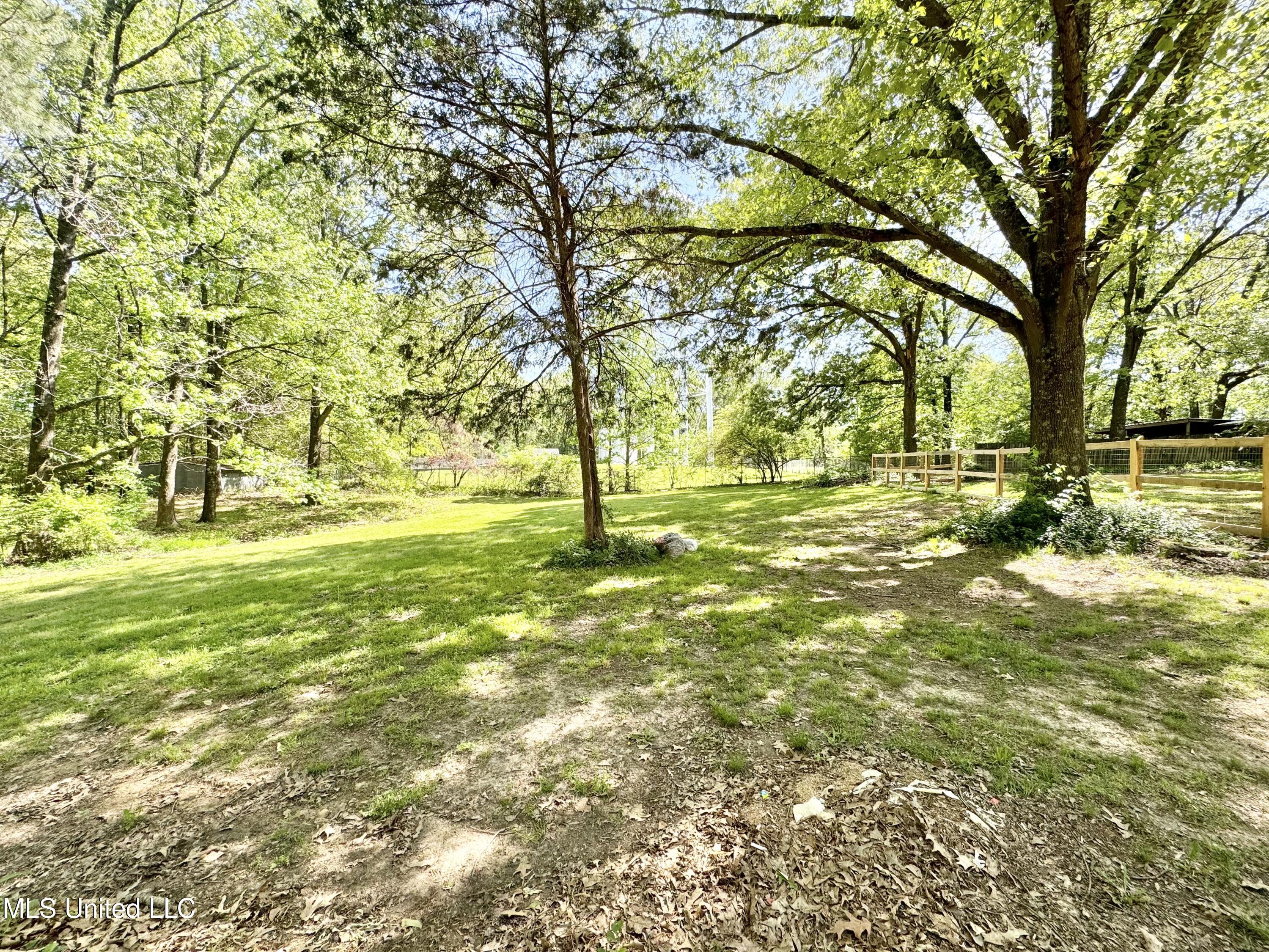 3775 Liscott Road Southaven, MS 38672 - Photo 53 of 60 IMG_4757