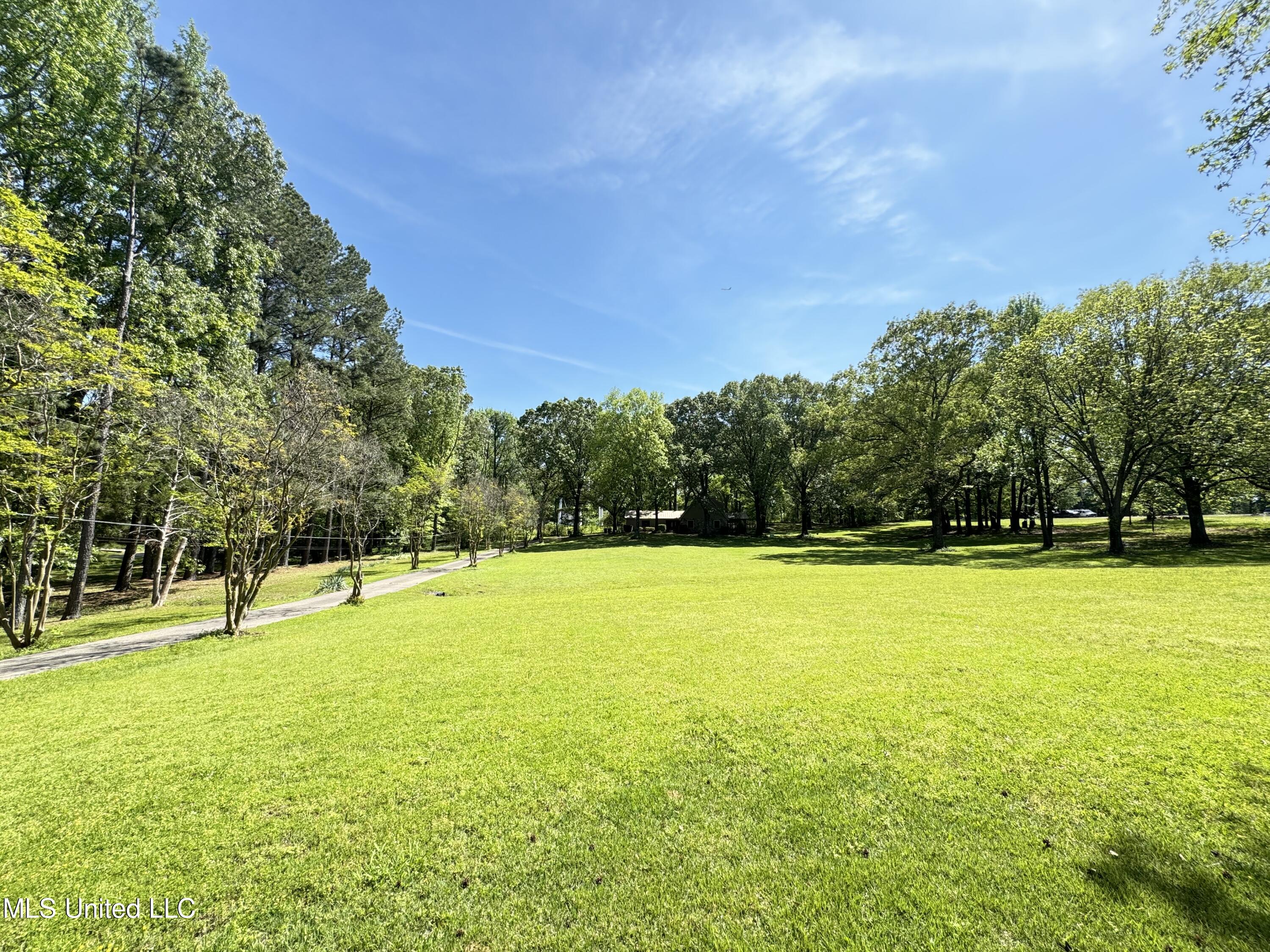 3775 Liscott Road Southaven, MS 38672 - Photo 7 of 60 IMG_4747
