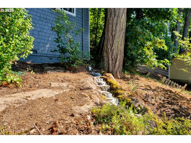 a view of a backyard with plants