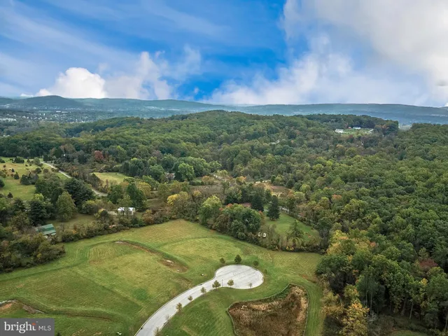a view of a field with an ocean