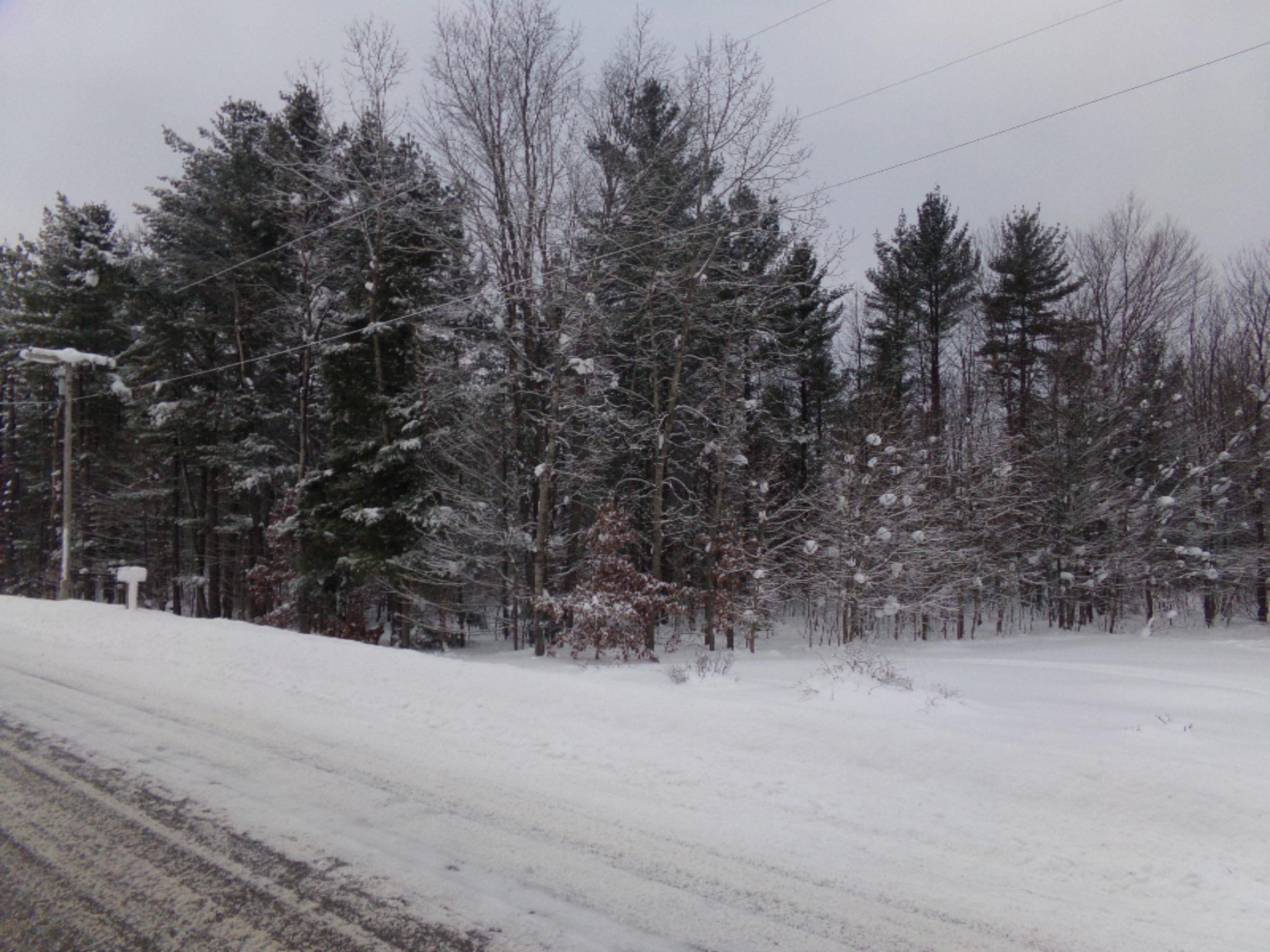 8234 North High Bridge Road Kaleva, MI 49645 - Photo 10 of 40 100_1190