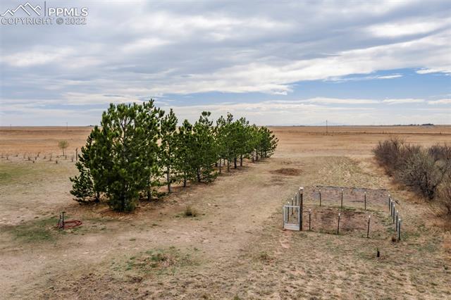 39875 Judge Orr Road Rush, CO 80833 - Photo 15 of 47 Gallery Image 15