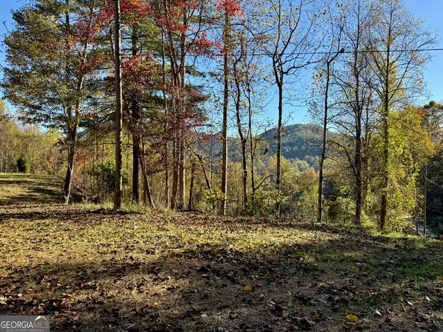 a view of a yard with trees