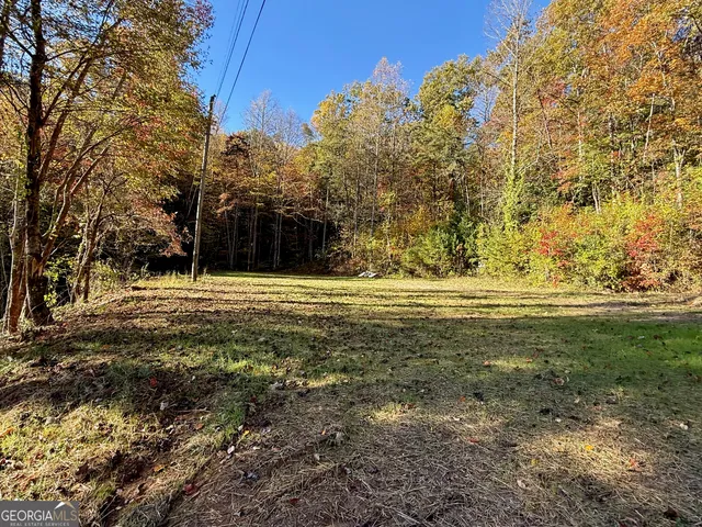 a view of outdoor space with trees