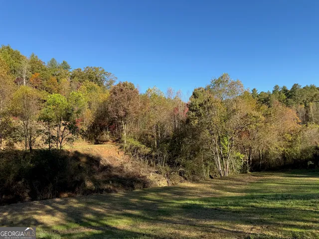 a view of a grassy field with trees