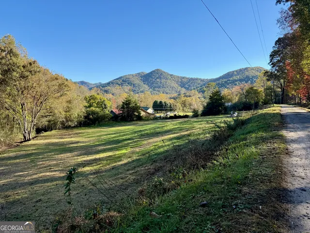a view of a grassy field with mountains in the background