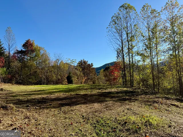 a view of a backyard with large trees
