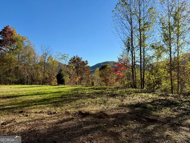 a big yard with lots of green space