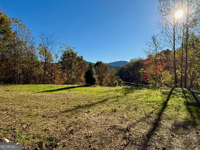 a view of a yard with an trees