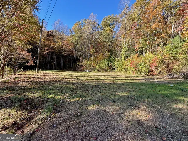 a view of outdoor space with trees