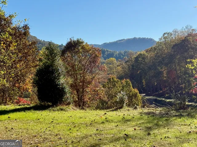 a view of a yard with a mountain