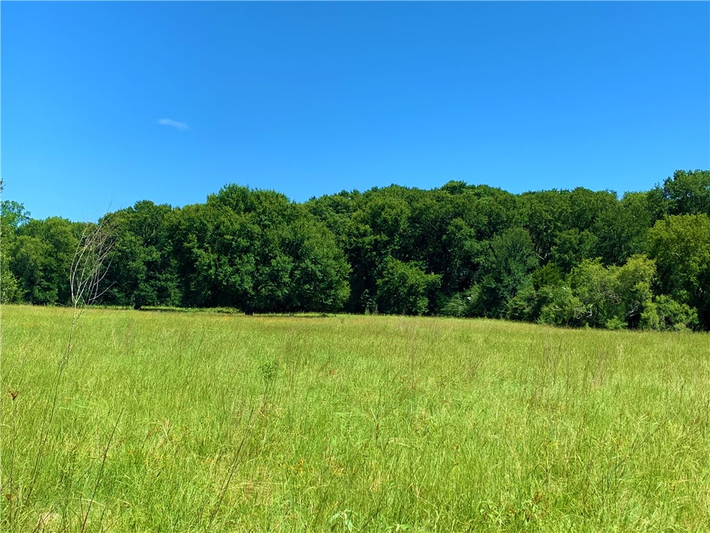 1 Roy Road Flatonia, TX 78941 - Photo 1 of 1 Gallery Image 1