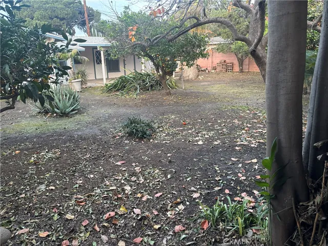 a view of a house with a tree