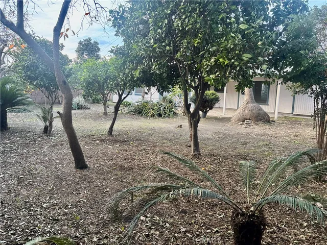 a view of a yard with a tree
