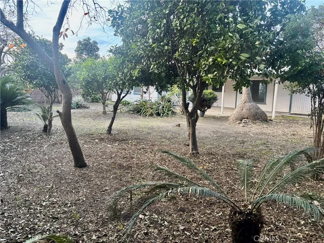 a view of a yard with a tree