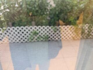 7473 Champagne Place Boca Raton, FL 33433 - Photo 6 of 27 a view of a bathroom