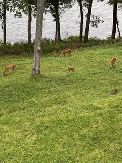 $389,000 | 231 Green Harbor Road, Unit 113A, Old Hickory, TN 37138